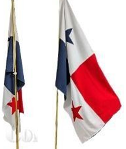 Bandera / Estandarte para Desfile